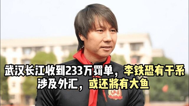 武汉长江收到233万罚单,李铁恐有干系,涉及外汇,或还将有大鱼