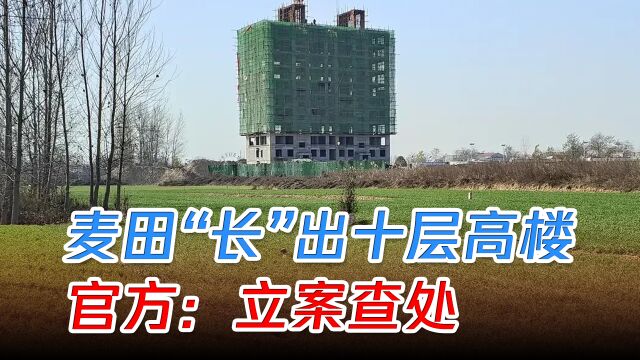 麦田“长”出高楼,开发商沉迷,官方:建设手续不完备,立案查处