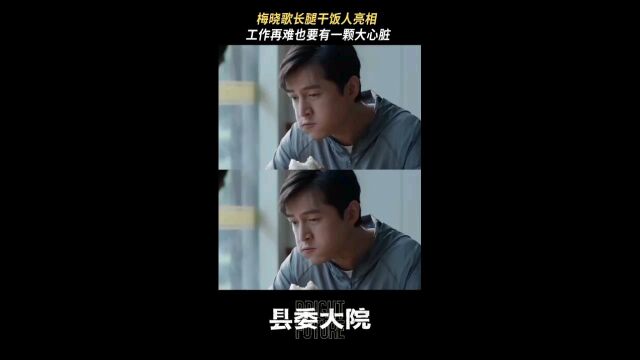 小万剪辑《县委大院》