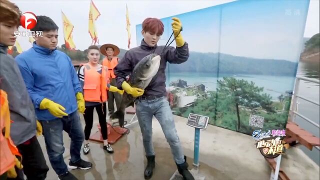 千岛湖鱼头鲜嫩可口,制作过程讲究,选对鱼头很重要|味道