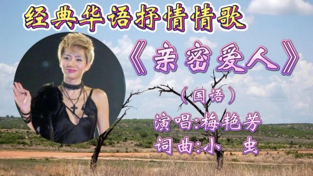 百变天后梅艳芳经典国语金曲《亲密爱人》低沉歌声甜美深情,感人至深!