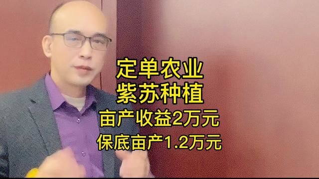 种植紫苏亩收益高达2万,你敢相信吗?带你一探究竟.