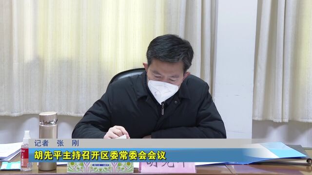 胡先平强调:统筹经济社会发展 精心筹备好区“两会”