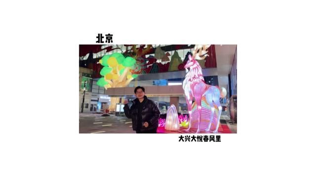 北京市,北京新年灯会去哪看