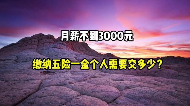 月薪不到3000元,缴纳五险一金,个人需要交多少?