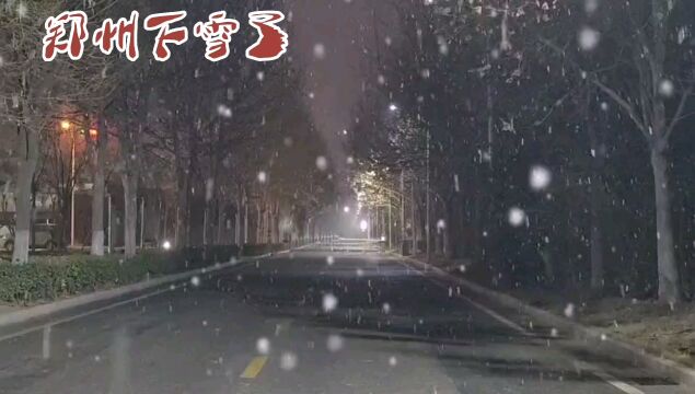 郑州下雪啦