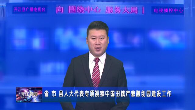 省 市 县人大代表专项视察中国田城产教融创园建设工作