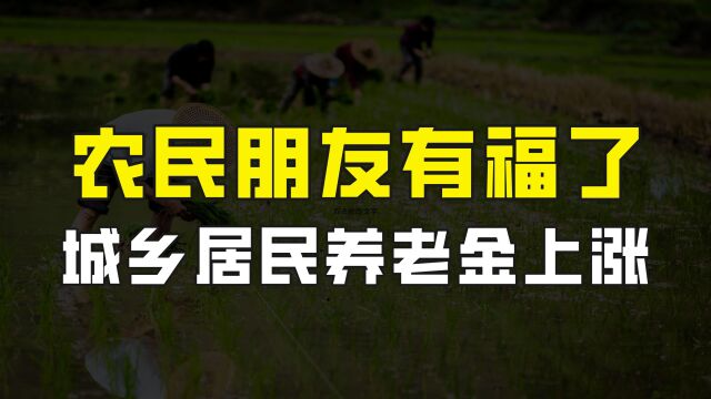 农民朋友有福了,2023城乡居民养老金上涨,更好保障我们养老生活