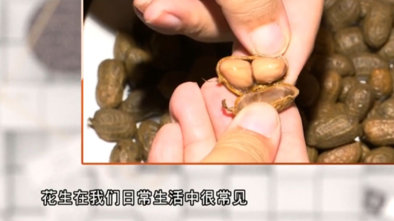 花生不能和哪些食物一起吃?营养师总结,快收藏!