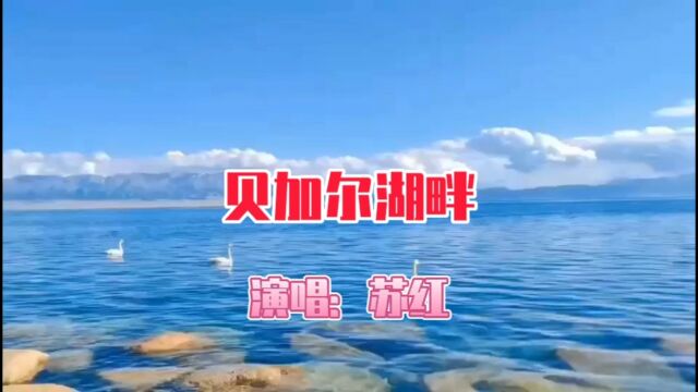 苏红演唱的歌曲《贝加尔湖畔》,请欣赏