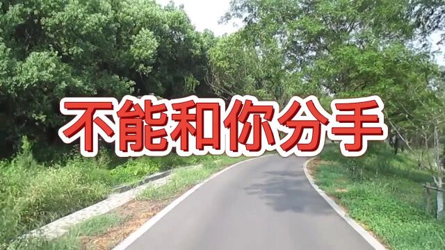 不能和你分手  歌曲