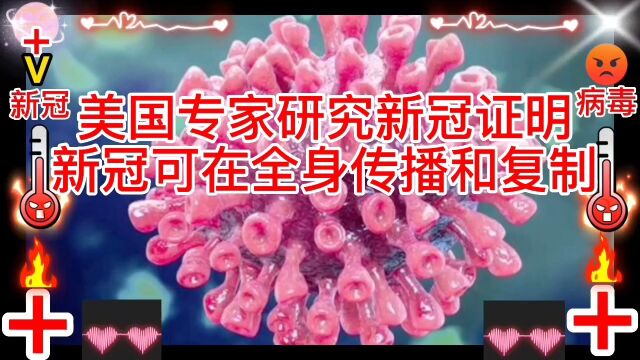 美国专家研究新冠病毒证实,新型冠状病毒可在全身组织传播和复制