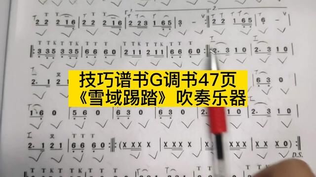 技巧谱书G调书47页《雪域踢踏》吹奏乐器 #简谱视唱 #教学简谱 #葫芦丝教学