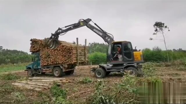 回转式抓木器 小型液压抓木器 新型钩机抓木器