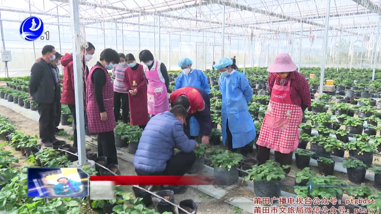 涵江:田间地头成课堂 助力乡村振兴