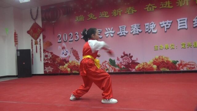 定兴戳脚翻子拳表演