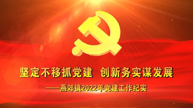 坚定不移抓党建,创新务实谋发展燕郊镇2022年党建工作纪实