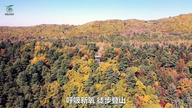 五花山色正当时!快来上甘岭溪水国家森林公园欣赏这美景