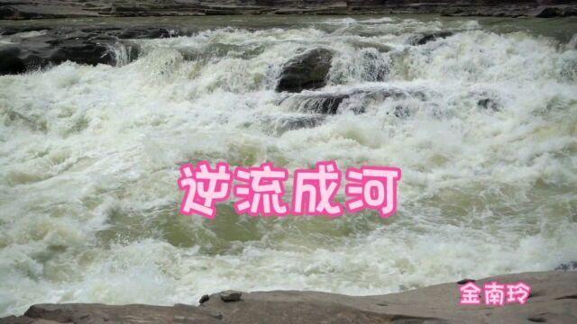 怀旧歌曲 逆流成河