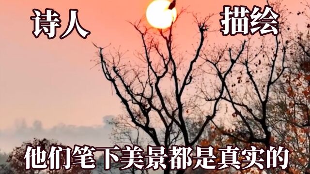 怪不得说诗人都是写实派!他们笔下美景都是真实的,古人诚不欺我