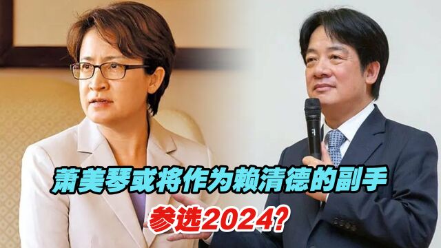 萧美琴或将作为赖清德的副手参选2024?