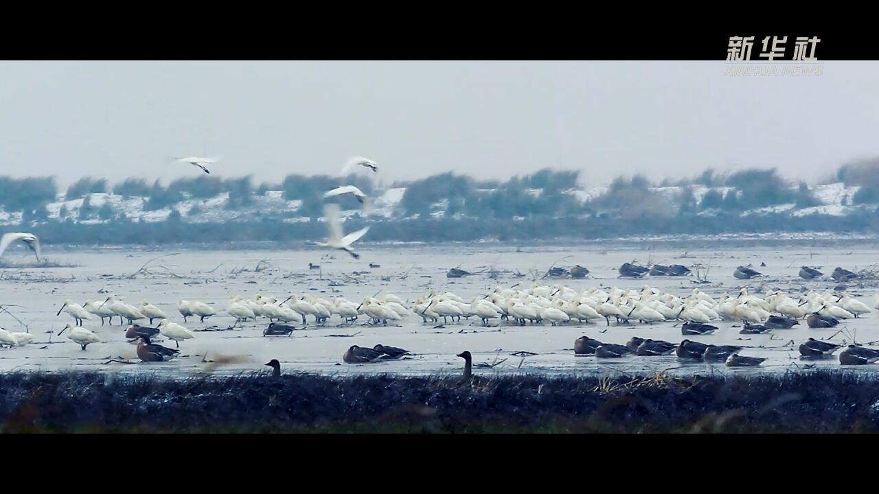 2022年我国新增国际重要湿地18处