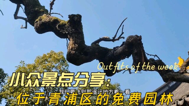 小众免费景点分享,位于青浦区的免费园林,周末出游打卡必去.