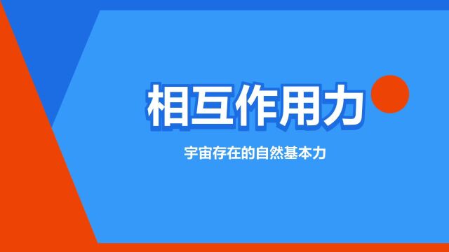 “相互作用力”是什么意思?