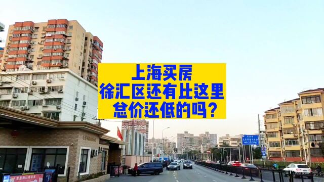 在上海买房,徐汇区还有比这里,总价还低的吗?