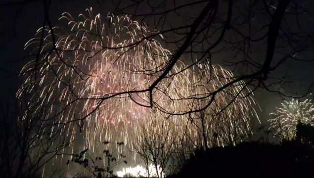 河南南阳淯阳桥元宵节烟火晚会现场分享