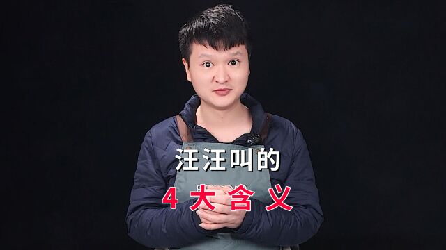 在狗狗眼里,主人突然学它“狗叫”,可能有这几大含义