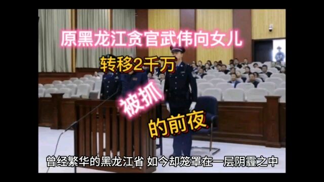 原黑龙江贪官武伟向女儿转移2千万被抓的前夜