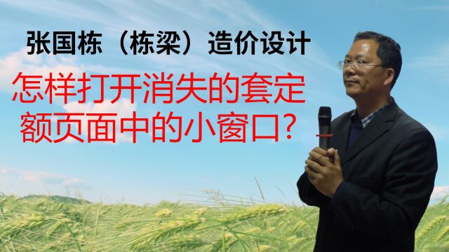 张国栋(栋梁)造价设计:怎样打开消失的套定额页面中的小窗口?