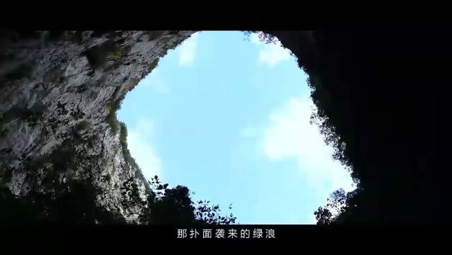 【夜赏】马关神秘仙境——麻哈天坑