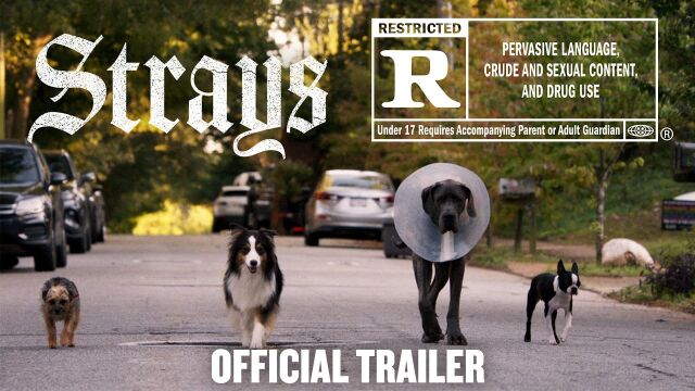 Strays | Official Trailer [HD]