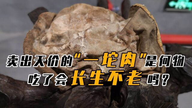 一坨肉价值上百万,“太岁”究竟是啥神奇物,吃了真会长生不老?