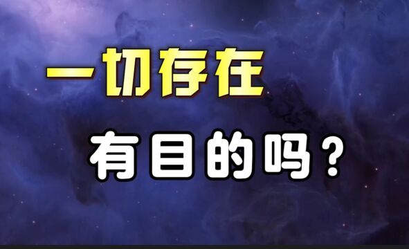 一句话问答录:一切存在有目的吗?