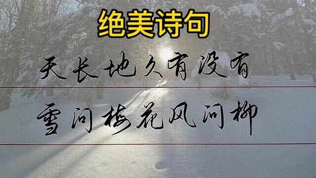 天长地久有没有,雪问梅花风问柳,杨柳不言花不语,只能问取杯中酒.#手写 #练字 #书法 #行书 #古诗词