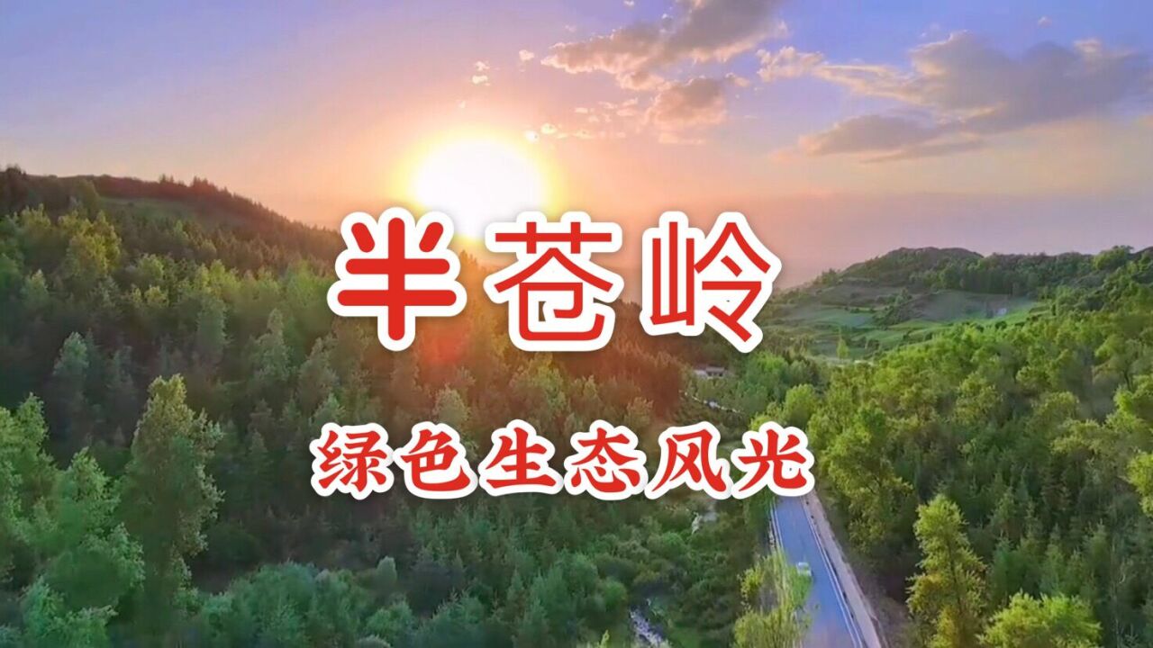 甘肃和政静美半苍岭,草坡与灌木林天然分界,如画的风景让人陶醉