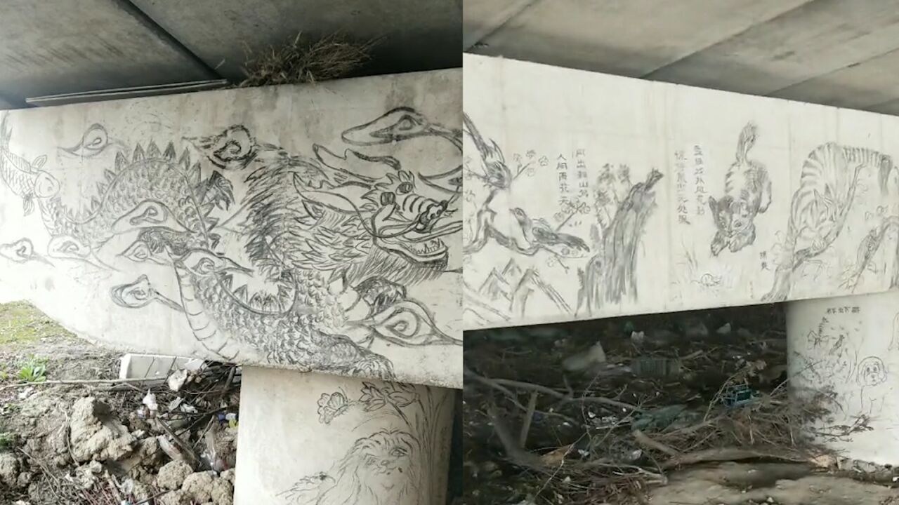 男子路过桥洞无意发现“藏画”,桥墩画满作品令人惊叹:隐世高人