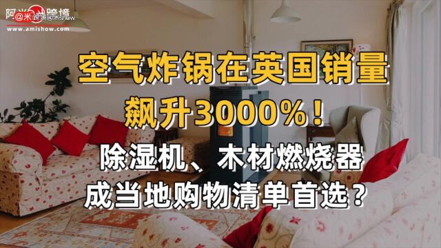 空气炸锅在英国销量飙升3000%!除湿机、木材燃烧器成当地购物清单首选?