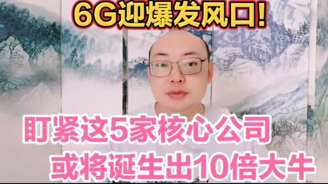 6G迎爆发风口!这5家公司有望持续发力,或将诞生一个10倍大牛!