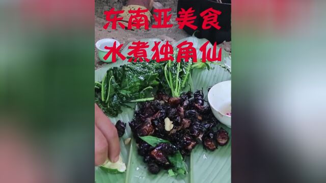 东南亚特色美食之越南水煮独角仙