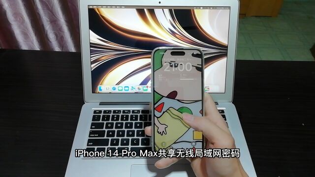 iPhone 14 Pro Max共享无线局域网密码