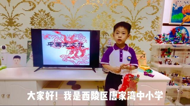 宜昌市西陵区唐家湾中小学《龙文化主题码课》