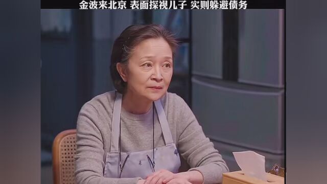 金波来北京 表面探视儿子 实则躲避债务