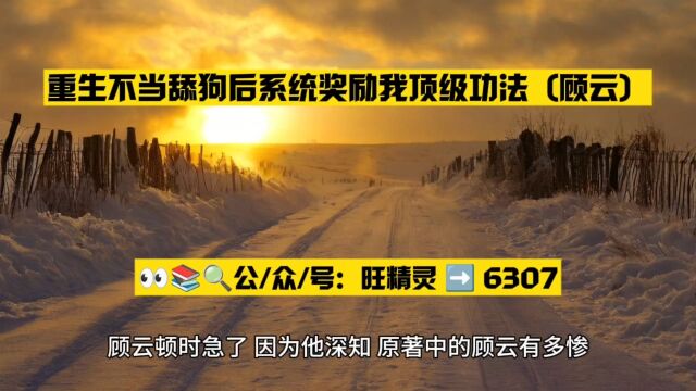 重生不当舔狗后系统奖励我顶级功法(顾云小说)全文在线○阅读