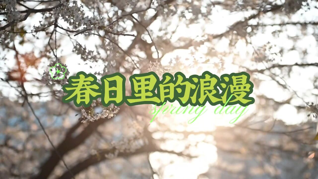 花开贵州丨铜仁松桃有条“樱花路”,花枝摇曳,洁白如雪……