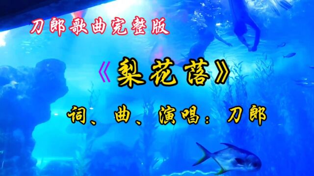 刀郎歌曲完整版《梨花落》词、曲、演唱:刀郎