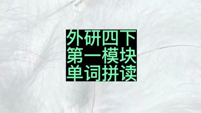 外研版四年级英语下册第一模块单词拼读#小学英语 #外研版小学英语 #四年级英语 #外研版四年级英语下册